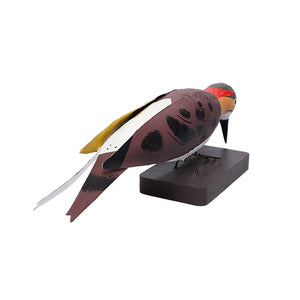 Yellow Shafted Flicker, Wood Bird