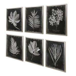 Foliage Framed Prints