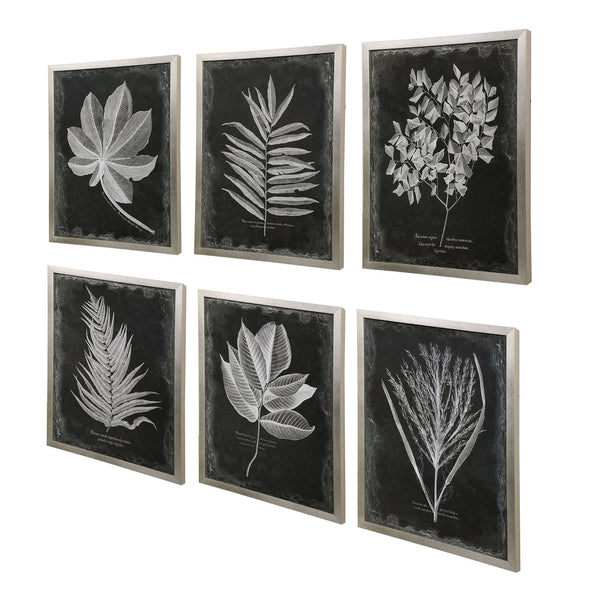 Foliage Framed Prints
