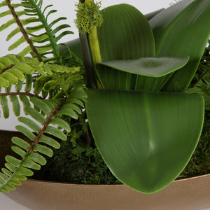 Transcend Orchid Centerpiece