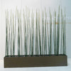 Equisetum in Custom Rectangle Planter
