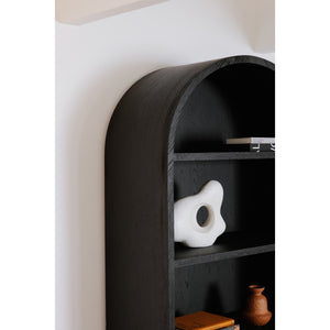 Moe's Wilde Display Cabinet in Black Oak