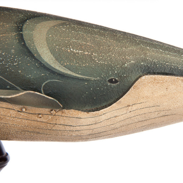 Model Whale