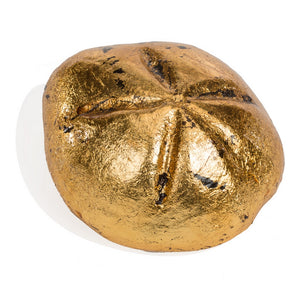Gilded Sea Biscuit