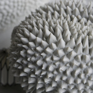 Cream Jackfruit 16.5"L Resin