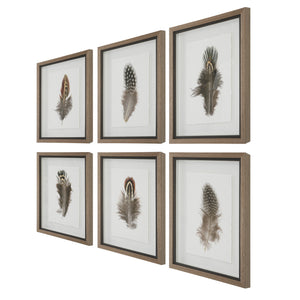 Birds Of A Feather Framed Prints, S/6