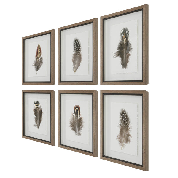 Birds Of A Feather Framed Prints, S/6