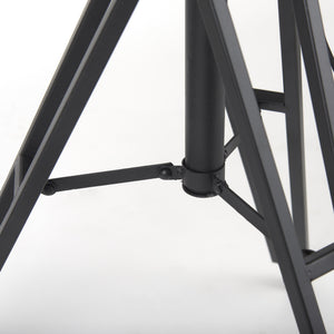 Debdou 22L x 22W x 61H Black and White Metal Adjustable Cinema-Style Floor Lamp