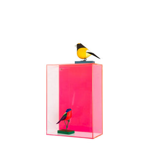 Neon Hanging Acrylic Box