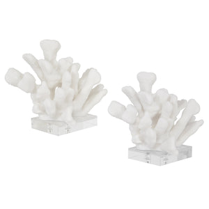 Charbel Bookends