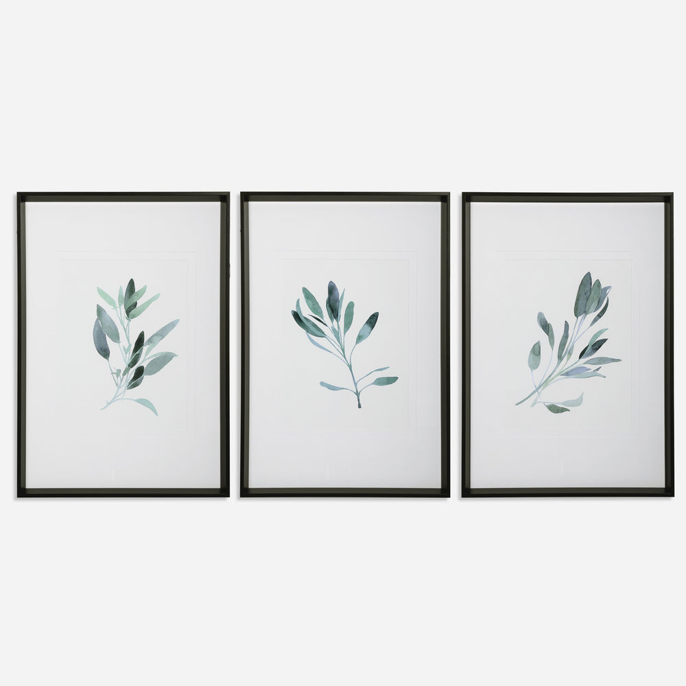 Simple Sage Watercolor Prints, S/3