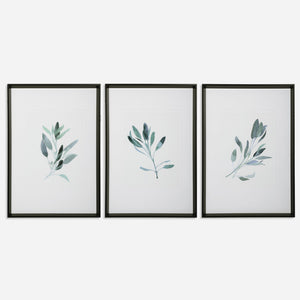 Simple Sage Watercolor Prints, S/3