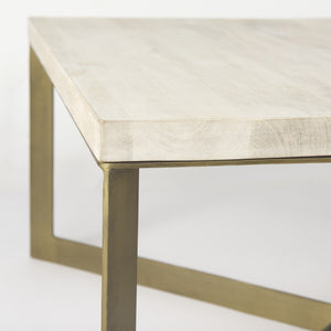Faye 34L x 34W x 17H Beige Finished Wood W/Gold Metal Base Square Coffee Table