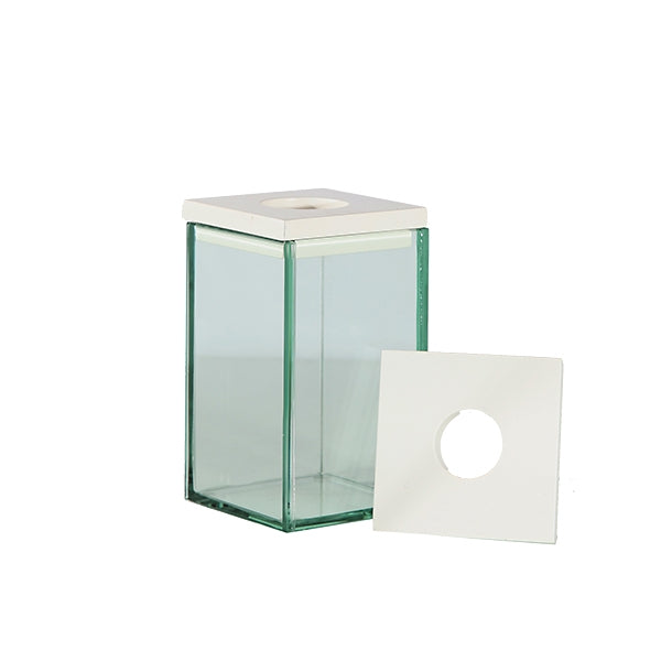 Glass Camille Vase 3"Sqr