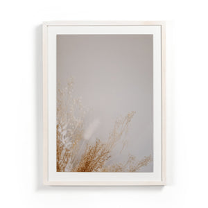 Dried Floral Ii By Annie Spratt