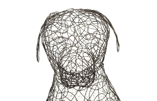 Crazy Wire Retriever, Large