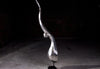 Chofa Sculpture, Silver Leaf, Large