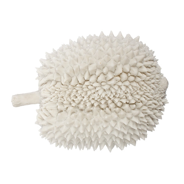 Resin, Durian Fruit