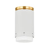 ASA Flush Mount