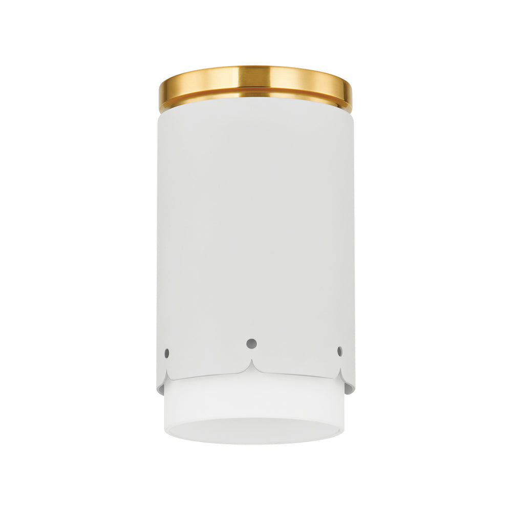 ASA Flush Mount