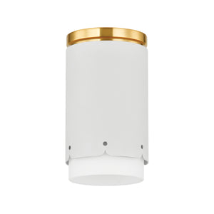 ASA Flush Mount