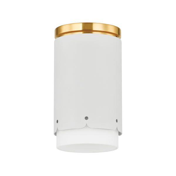 ASA Flush Mount