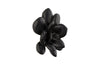 Laui Succulent Wall Art, Smallooth Matte Black
