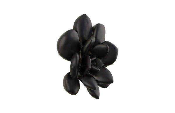 Laui Succulent Wall Art, Smallooth Matte Black