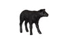 Texelaar Sheep, Lamb, Gel Coat Black