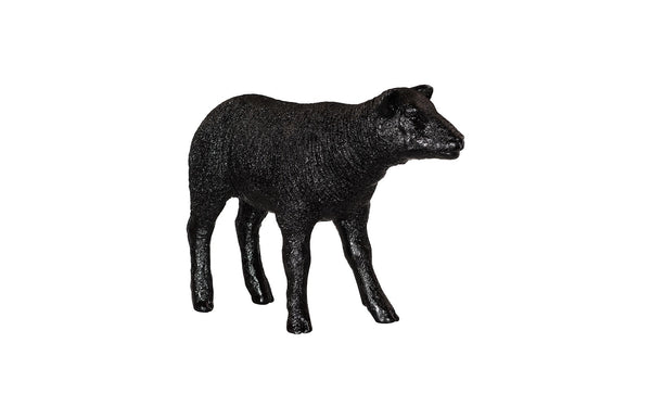 Texelaar Sheep, Lamb, Gel Coat Black