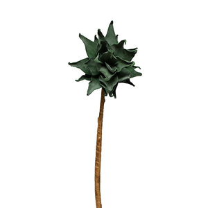 Aloe Stem 42"H w/out Pot