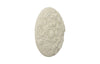 Coral Reef Wall Art, Round