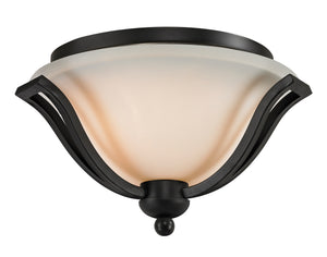 Lagoon 2 Light Ceiling in Matte Black Finish