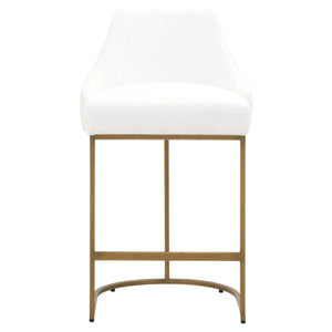 Parissa Counter Stool, Set of 2
