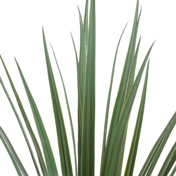 Liriope 23"H Grass Bunch