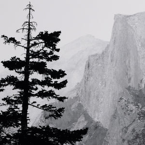 Half Dome From Glacier Point By Getty In Bl