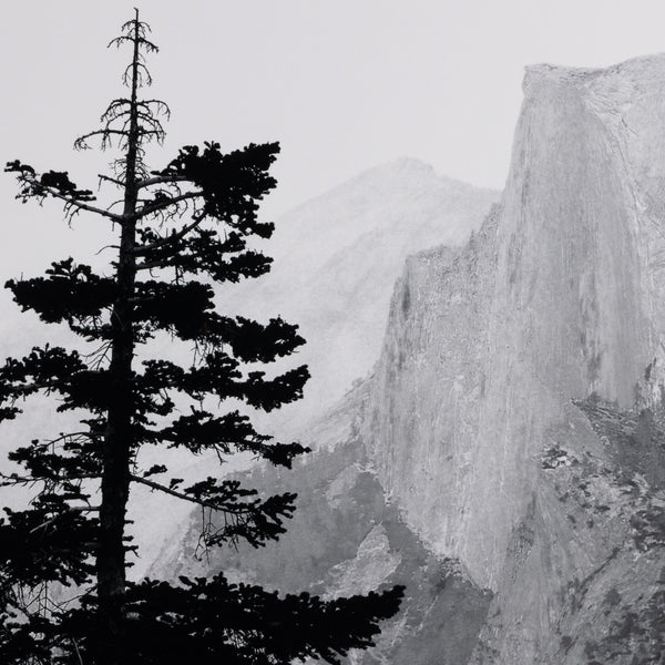Half Dome From Glacier Point By Getty In Bl