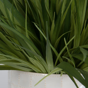 Edgewood Greenery, Set/2