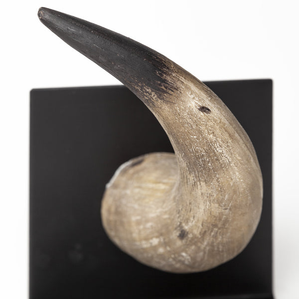 Nickerson (Set of 2) 6L x 7W Bull Horn Bookends
