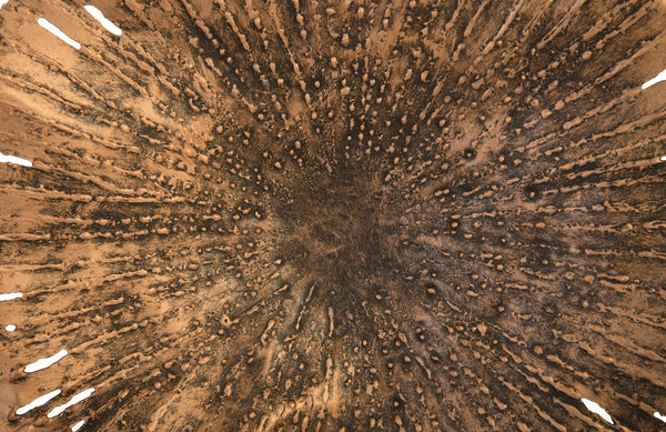 Lotus Wall Art, Copper/Black, Small
