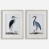 Shore Birds Framed Prints