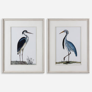 Shore Birds Framed Prints