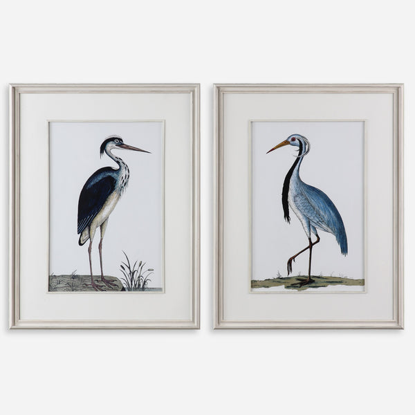 Shore Birds Framed Prints