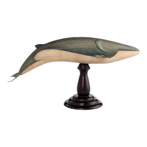 Model Whale