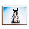War Horse framed wall art