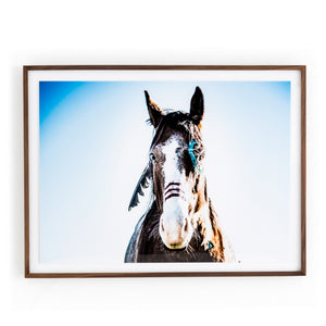 War Horse framed wall art