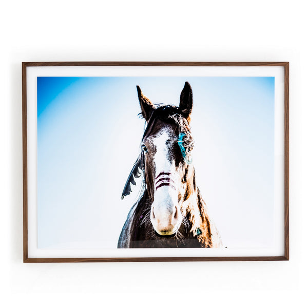 War Horse framed wall art