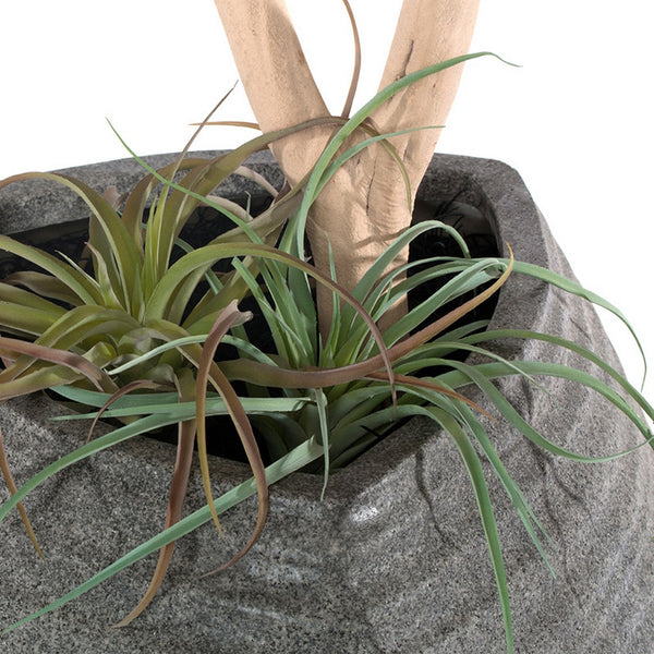 Redwood & Tillandsia Mix in Trapezoid Planter