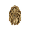 BEETLE KNOB IN BRASS