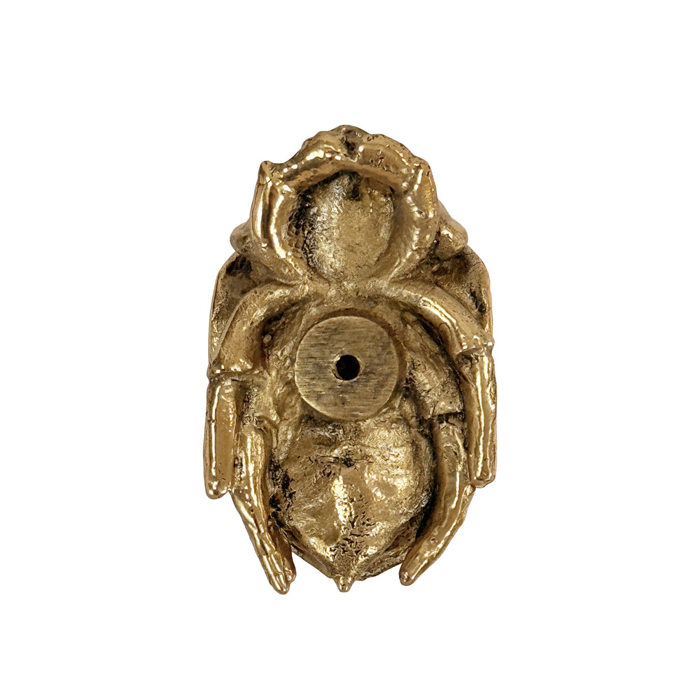 BEETLE KNOB IN BRASS